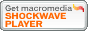 Macromedia Shockwave